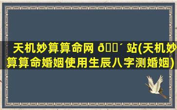 天机妙算算命网 🌴 站(天机妙算算命婚姻使用生辰八字测婚姻)
